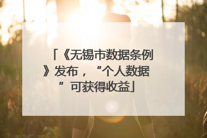 《无锡市数据条例》发布，“个人数据”可获得收益