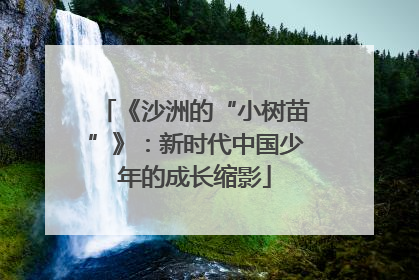 《沙洲的“小树苗”》：新时代中国少年的成长缩影