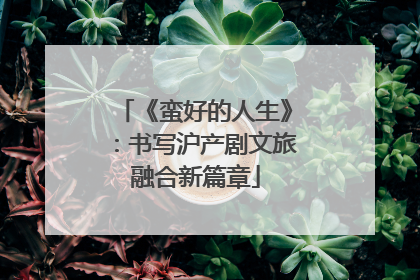 《蛮好的人生》：书写沪产剧文旅融合新篇章