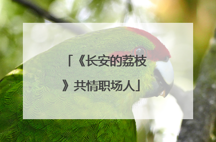 《长安的荔枝》共情职场人