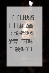 「甘快看」甘肃民勤：戈壁沙乡孕育“甘味”领头羊