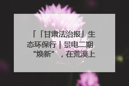 「甘肃法治报」生态环保行｜景电二期“焕新”，在荒漠上筑起一道绿色长城