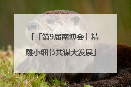 「第9届南博会」精雕小细节共谋大发展