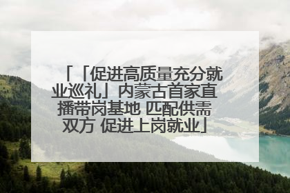 「促进高质量充分就业巡礼」内蒙古首家直播带岗基地 匹配供需双方 促进上岗就业