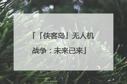 「侠客岛」无人机战争：未来已来
