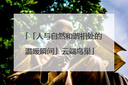 「人与自然和谐相处的温暖瞬间」云端鸟巢