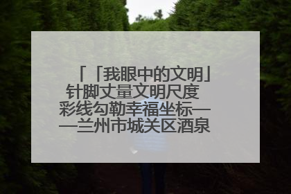 「我眼中的文明」针脚丈量文明尺度 彩线勾勒幸福坐标——兰州市城关区酒泉路街道办事处