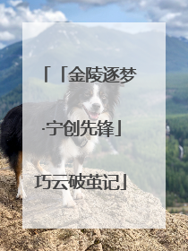 「金陵逐梦·宁创先锋」巧云破茧记