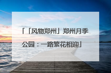 「风物郑州」郑州月季公园：一路繁花相迎