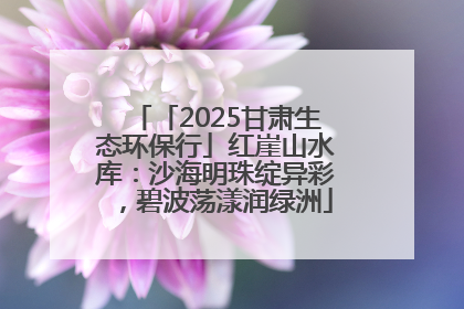 「2025甘肃生态环保行」红崖山水库：沙海明珠绽异彩，碧波荡漾润绿洲