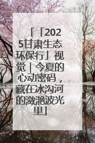 「2025甘肃生态环保行」视觉｜今夏的心动密码，藏在冰沟河的潋滟波光里