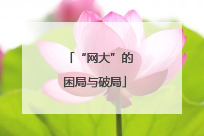 “网大”的困局与破局