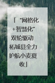“网格化+智慧化”双轮驱动 柘城县全力护航小麦夏收