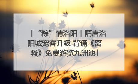 “粽”情洛阳丨隋唐洛阳城宠客升级 背诵《离骚》免费游览九洲池