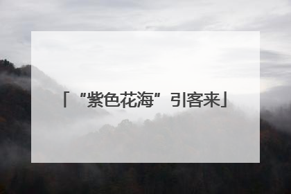 “紫色花海”引客来