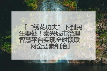 “绣花功夫”下到民生要处！泰兴城市治理智慧平台实现全时段联网全要素细治
