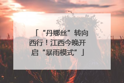 “丹娜丝”转向西行！江西今晚开启“暴雨模式”