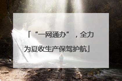 “一网通办”，全力为夏收生产保驾护航