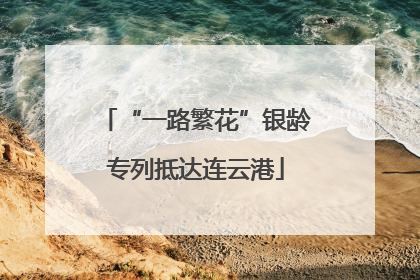 “一路繁花”银龄专列抵达连云港