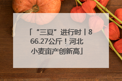 “三夏”进行时丨866.27公斤！河北小麦亩产创新高