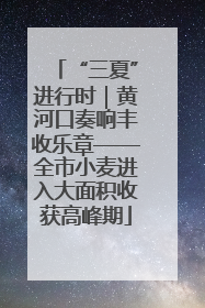 “三夏”进行时｜黄河口奏响丰收乐章——全市小麦进入大面积收获高峰期