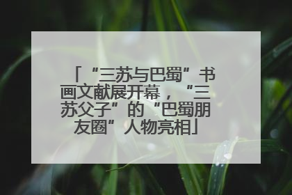 “三苏与巴蜀”书画文献展开幕，“三苏父子”的“巴蜀朋友圈”人物亮相