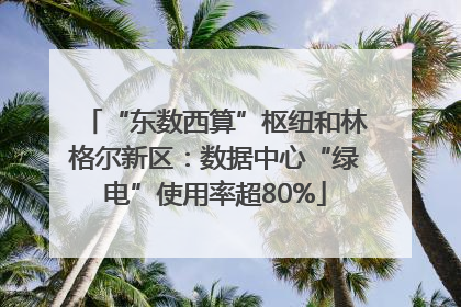 “东数西算”枢纽和林格尔新区：数据中心“绿电”使用率超80%