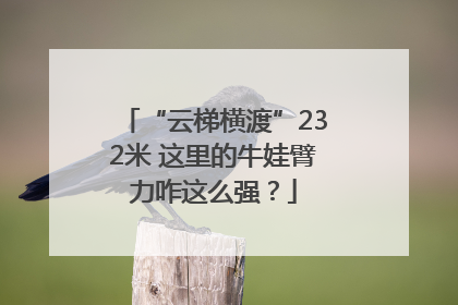 “云梯横渡”232米 这里的牛娃臂力咋这么强？