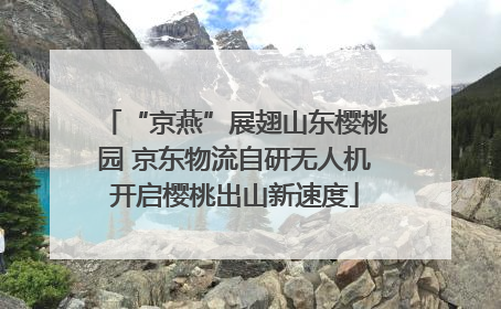 “京燕”展翅山东樱桃园 京东物流自研无人机开启樱桃出山新速度