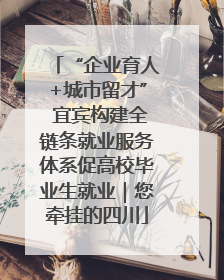 “企业育人+城市留才” 宜宾构建全链条就业服务体系促高校毕业生就业｜您牵挂的四川