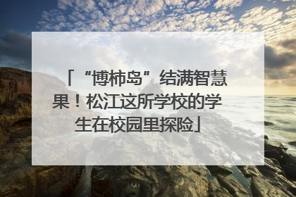 “博柿岛”结满智慧果！松江这所学校的学生在校园里探险