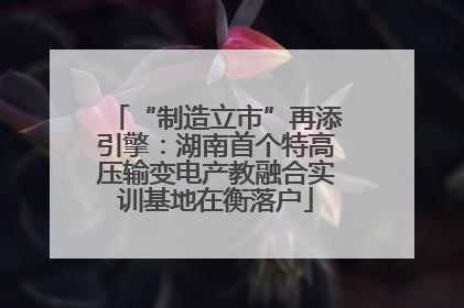 “制造立市”再添引擎：湖南首个特高压输变电产教融合实训基地在衡落户