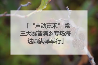 “声动嘉禾” 歌王大赛普满乡专场海选圆满举举行