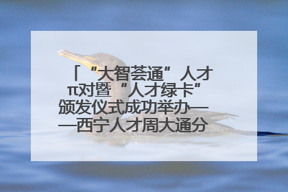 “大智荟通”人才π对暨“人才绿卡”颁发仪式成功举办——西宁人才周大通分会场亮点纷呈