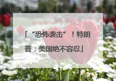 “恐怖袭击”！特朗普：美国绝不容忍
