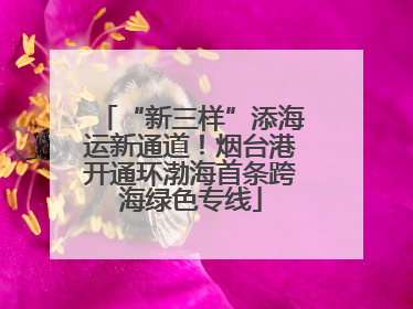 “新三样”添海运新通道！烟台港开通环渤海首条跨海绿色专线