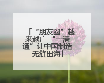 “朋友圈”越来越广 “一港通”让中国制造无缝出海