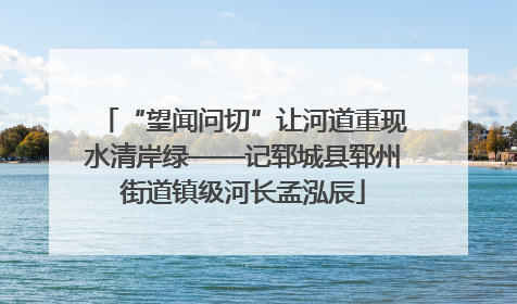 “望闻问切”让河道重现水清岸绿——记郓城县郓州街道镇级河长孟泓辰