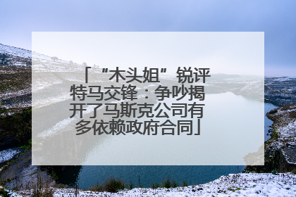 “木头姐”锐评特马交锋：争吵揭开了马斯克公司有多依赖政府合同