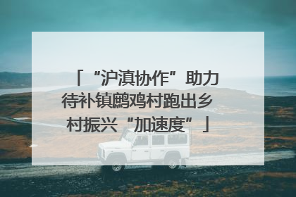 “沪滇协作”助力待补镇鹧鸡村跑出乡村振兴“加速度”