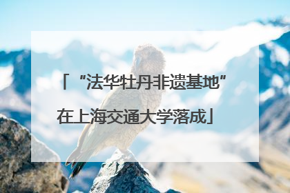 “法华牡丹非遗基地”在上海交通大学落成
