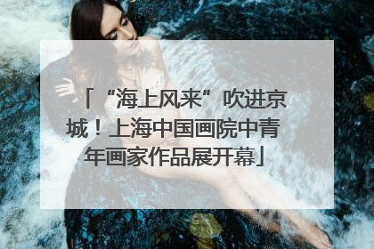 “海上风来”吹进京城！上海中国画院中青年画家作品展开幕
