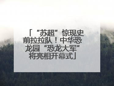 “苏超”惊现史前拉拉队！中华恐龙园“恐龙大军”将亮相开幕式