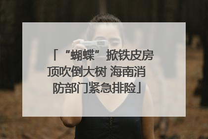 “蝴蝶”掀铁皮房顶吹倒大树 海南消防部门紧急排险