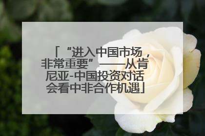 “进入中国市场，非常重要”——从肯尼亚-中国投资对话会看中非合作机遇