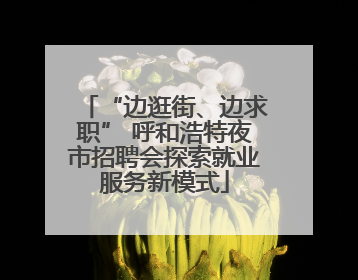 “边逛街、边求职” 呼和浩特夜市招聘会探索就业服务新模式