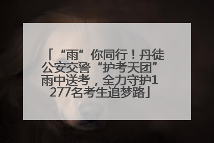“雨”你同行！丹徒公安交警“护考天团”雨中送考，全力守护1277名考生追梦路