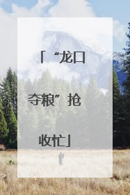“龙口夺粮”抢收忙
