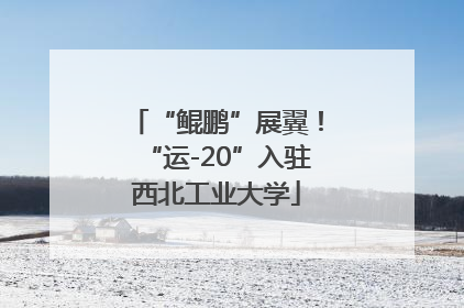 “鲲鹏”展翼！“运-20”入驻西北工业大学