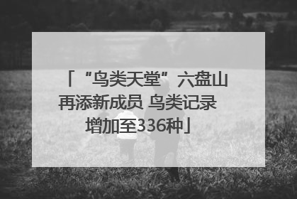 “鸟类天堂”六盘山再添新成员 鸟类记录增加至336种
